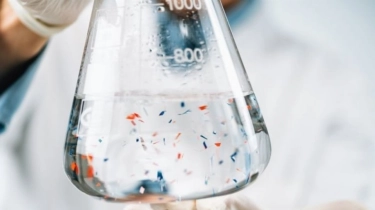 Penelitian Ungkap Mikroplastik Memperparah Penyempitan Pembuluh Darah: Kok Bisa?