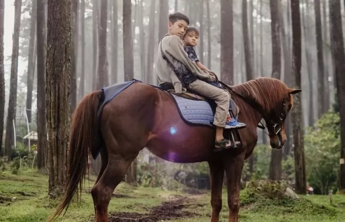 Libur Akhir Tahun ke Lembang? Ini 3 Tempat Wisata Seru yang Wajib Dikunjungi