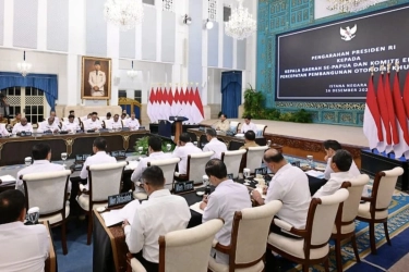 Dukung Swasembada Pangan Papua, Mentan Targetkan Cetak 100.000 Ha Sawah Baru
