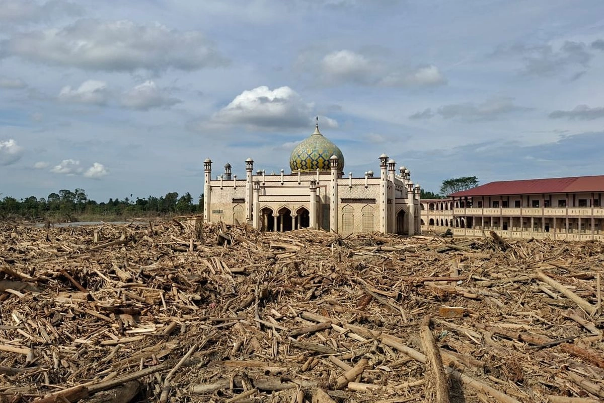 Mengapa Prabowo Ingin Tambah Polisi Hutan?