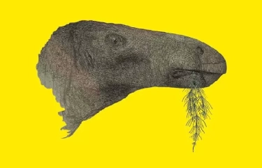 Heboh! Jejak Kaki Dinosaurus Berusia 200 Juta Tahun Ditemukan di Lokasi Olimpiade Musim Dingin Italia