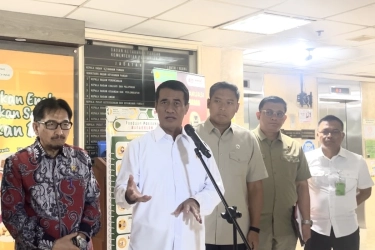 Respons Usulan DMO untuk Kelapa, Amran: Bagus Juga Idenya