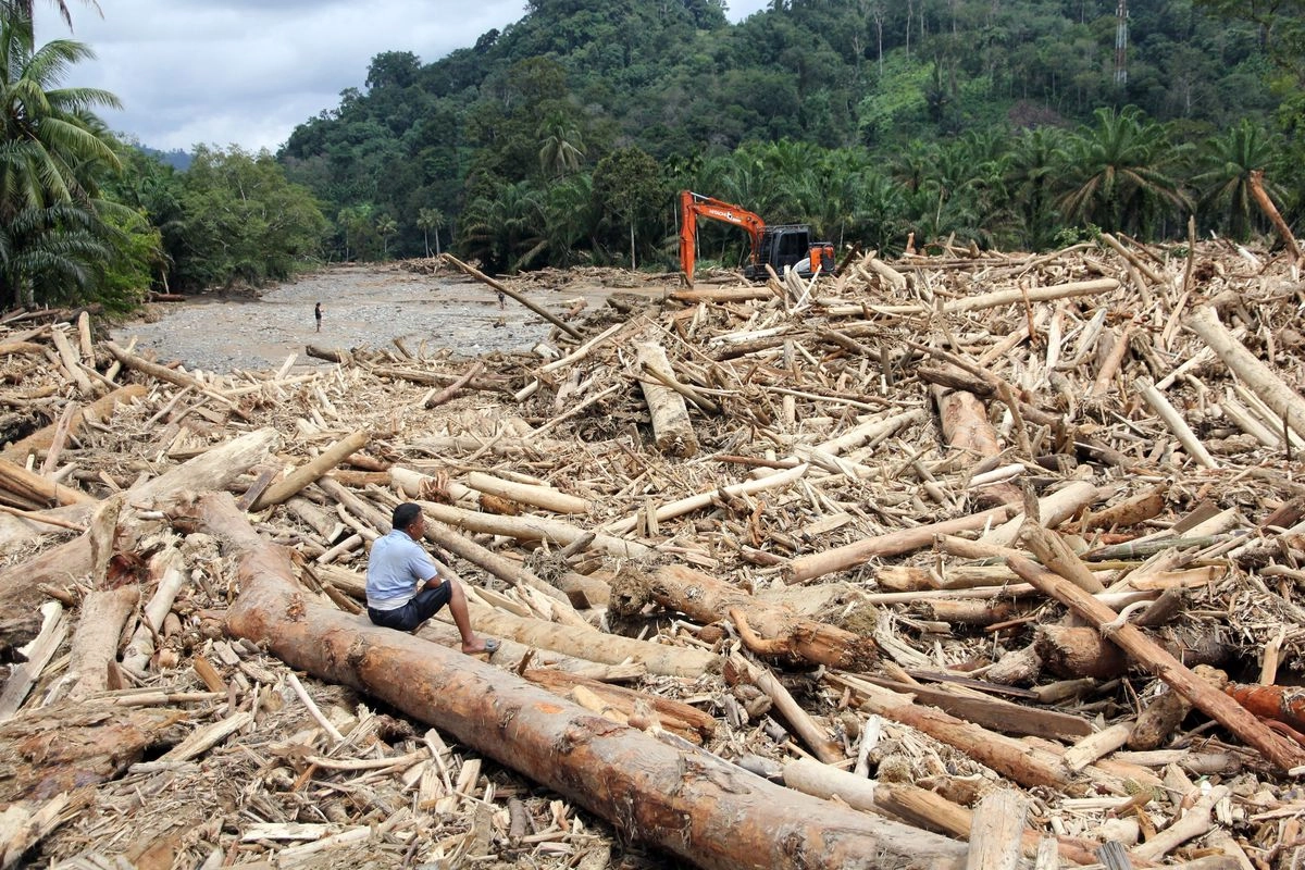 Terorisme Ekologis di Sumatera: Kekerasan yang Disengaja