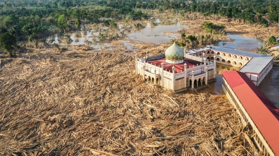 Lumpur Setinggi 2 Meter Mustahil Disingkirkan? Ini Solusi Manfaatkan Kayu Gelondongan Sisa Banjir
