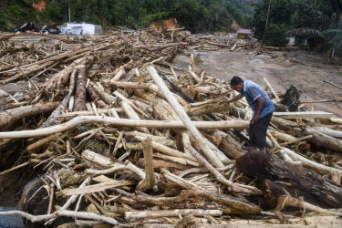8 Perusahaan Terduga Pemicu Banjir Sumatera Disanksi Hentikan Operasi