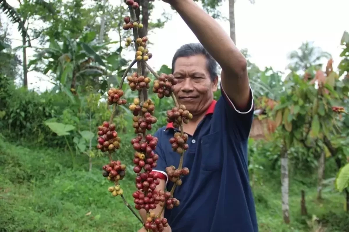 Sektor Pertanian Butuh Regenerasi, Kemenpora Ajak Anak Muda Jadi Petani Modern