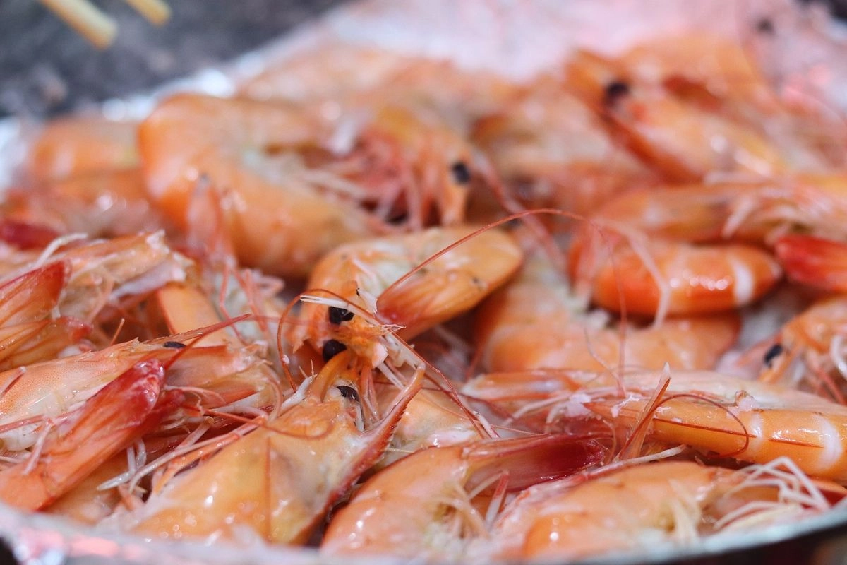 Amerika Serikat Tarik Udang Beku Asal Indonesia Sepanjang 2025