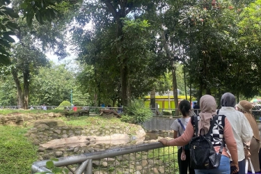 Libur Akhir Tahun ke Ragunan, Ini Rute Naik KRL, Transjakarta, dan MRT