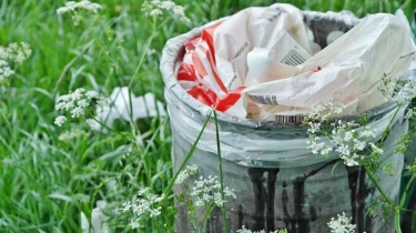 Sambut Tahun Baru, Wamenpar Ajak Bersih-Bersih Lewat Clean The City