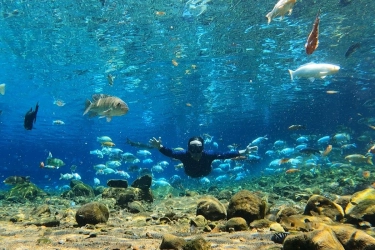 Wisatawan Tenggalam di Umbul Ponggok Klaten saat Tunggu Foto Bawah Air