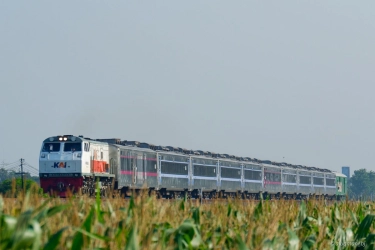 3,3 Juta Tiket Kereta Api Terjual Selama Periode Libur Nataru