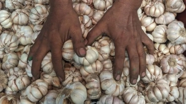 Update Harga Pangan 29 Desember: Bawang, Cabai, Hingga Beras Kompak Turun