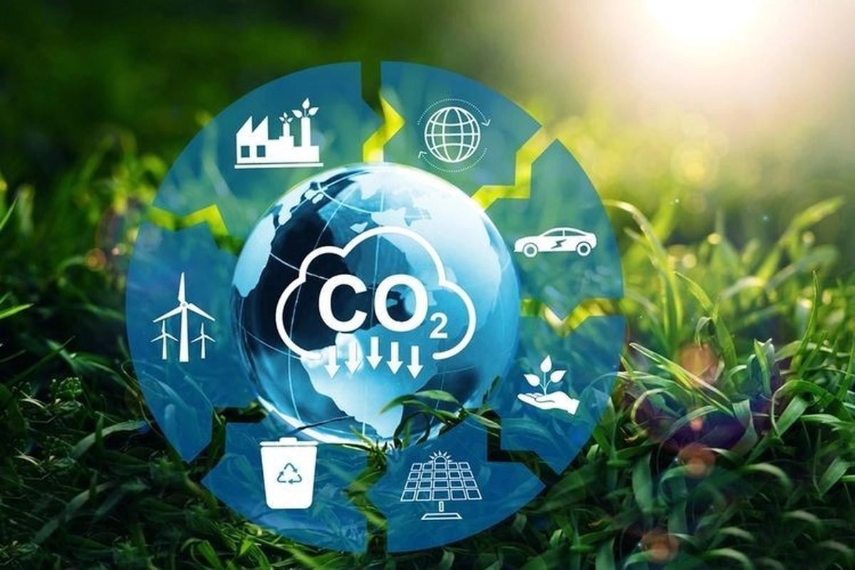 Target FOLU Net Sink 2030, Strategi Indonesia Tekan Emisi