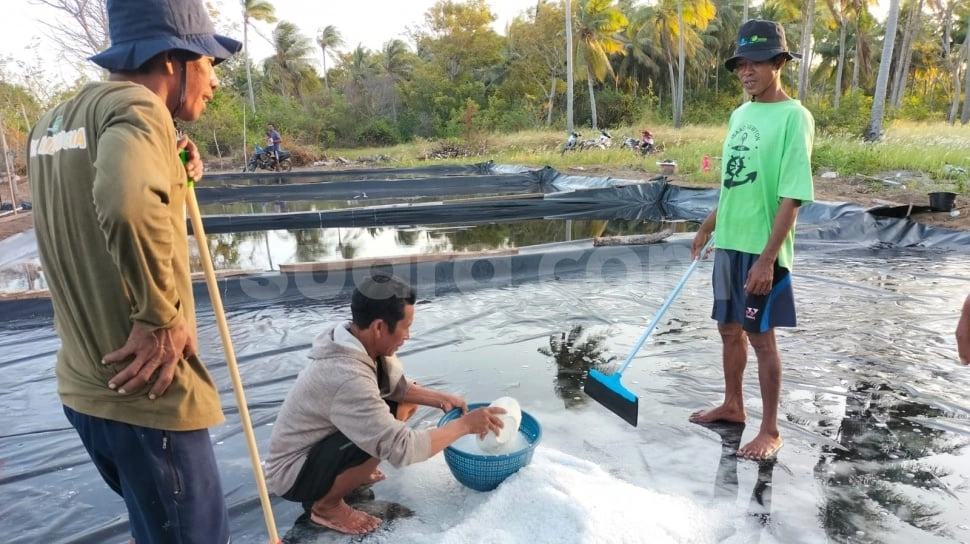 Pemerintah Putuskan Impor Garam Industri 1,1 Juta Ton, Buat Apa?