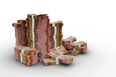 Kaleidoskop 2025: Aliran Dana SAL Rp 276 Triliun dan Paradoks Lesunya Kredit Perbankan