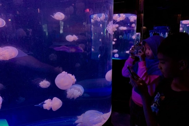 Liburan ke Oseanarium BXSea: Jelajahi Terowongan 