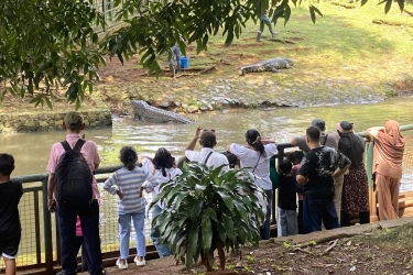 14.217 Orang ke Ragunan pada Malam Tahun Baru, Cuaca Jadi Tantangan