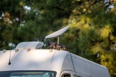 Starlink Jadi Andalan Saat Jaringan Lumpuh, Konektivitas Darurat Pulih di Wilayah Bencana Aceh