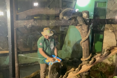 Wisata Malam Ragunan Tetap Buka Saat Libur Tahun Baru, Cek Harga Tiketnya