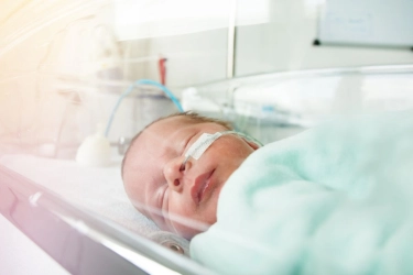 Ilmuwan Kembangkan Rahim Buatan untuk Bayi Prematur