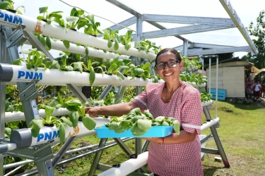 Hasil Survei Mekaar Perlihatkan Dampak Nyata Pemberdayaan Keberlanjutan PNM Untuk Masyarakat Prasejahtera Indonesia