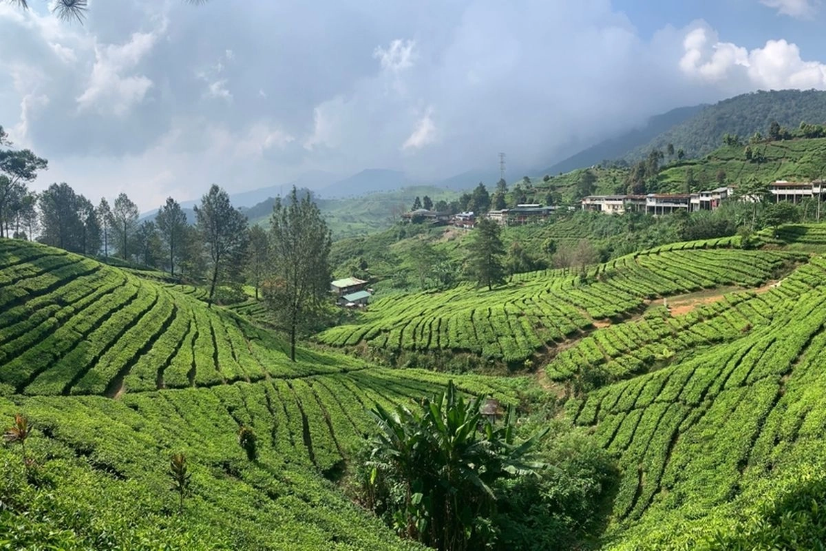 Tak Cuma Puncak, Turis Arab Suka ke 5 Destinasi Wisata Indonesia Ini