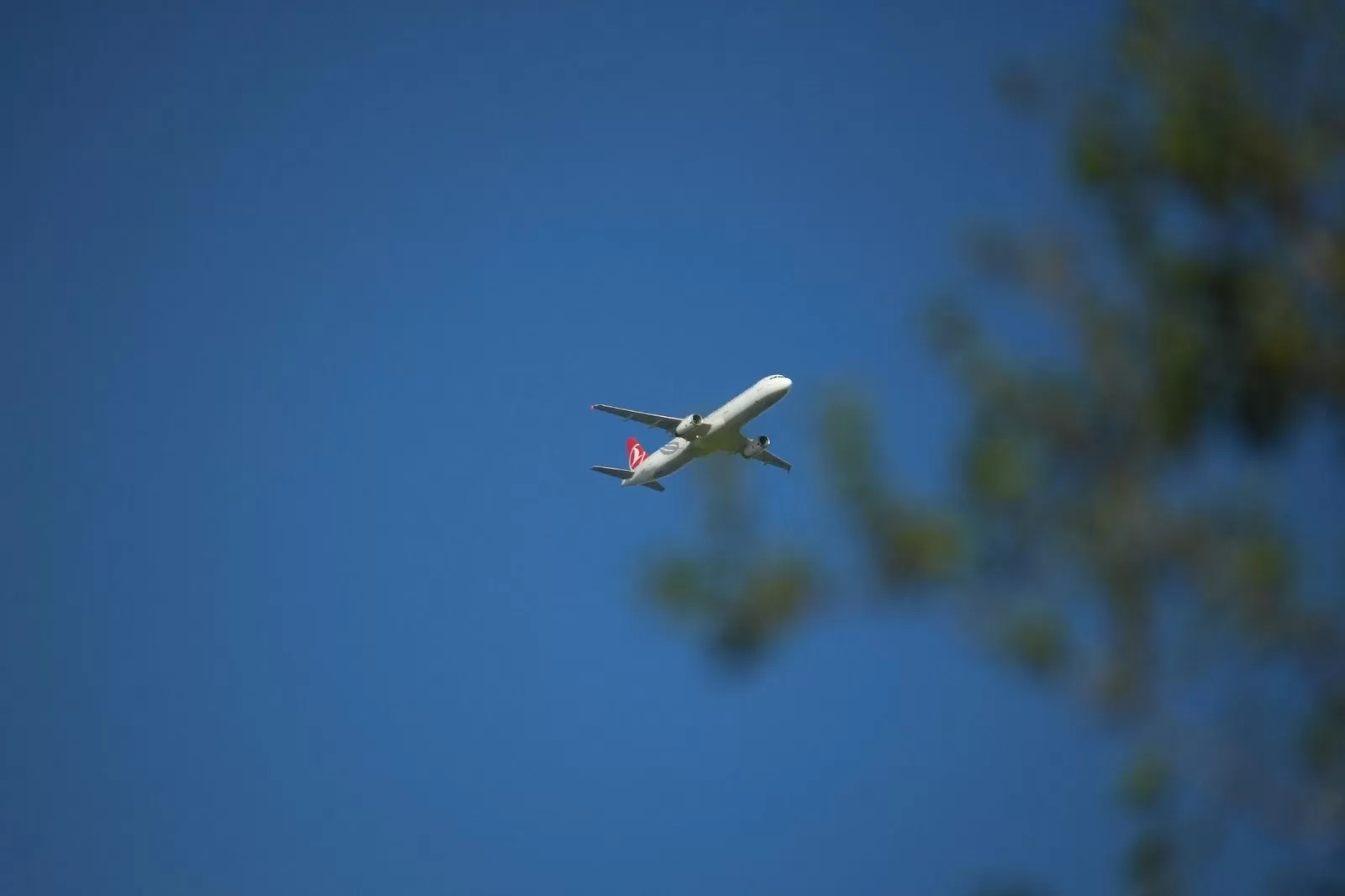 Resolusi 2026 Ke Luar Negeri, Ini 6 Tips Hemat untuk Travelling ke Banyak Negara!