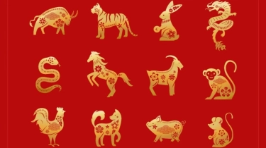 Cara Cek Shio Berdasarkan Tahun Lahir secara Akurat: Jangan Sampai Salah!