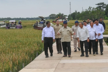 Di Depan Prabowo, Mentan Amran Ungkap Wacana Ekspor Beras Pada 2026