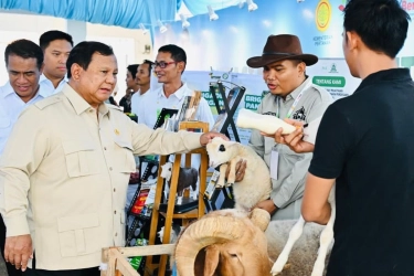 Kenapa Prabowo Tolak Lihat Daftar Perusahaan yang Izinnya Mau Dicabut?