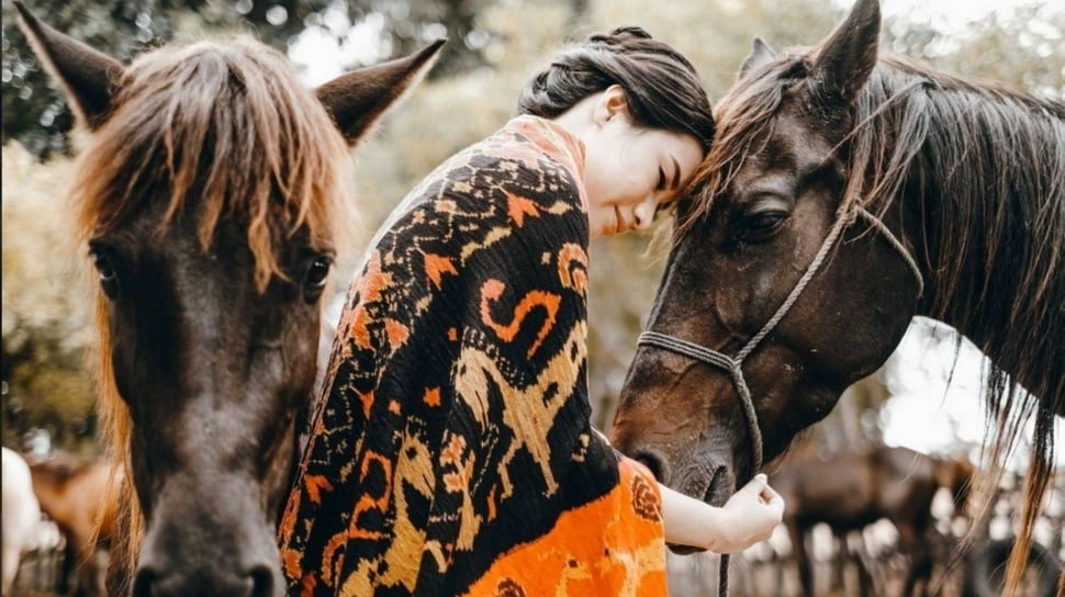 Private Trip Sumba Eksklusif Bersama Phinisea