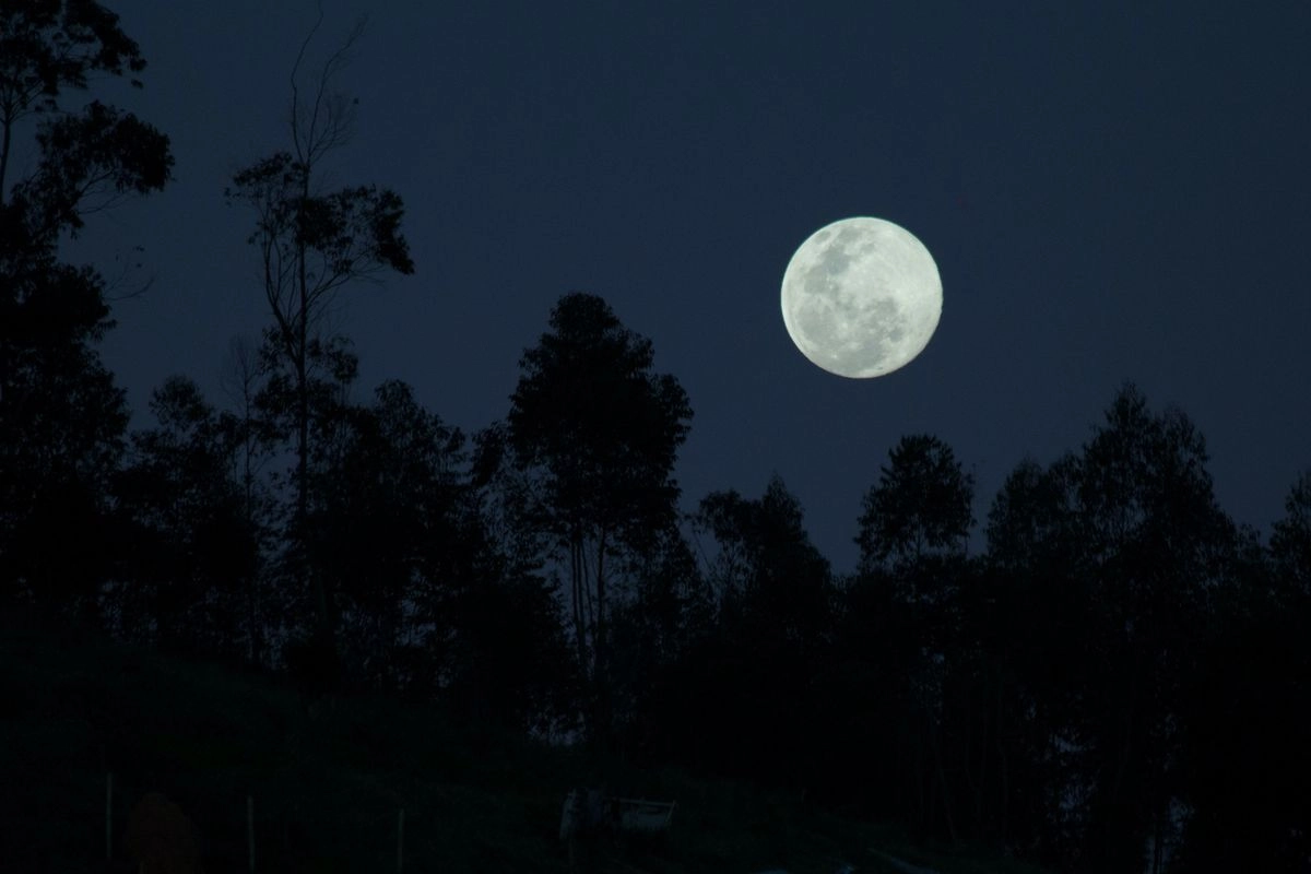 Zodiak Januari 2026, Perubahan Karier dan Cinta yang Dipengaruhi Bulan Purnama