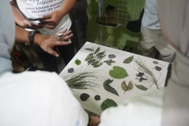 Bermodal Rp 25 Juta, Perajin Ecoprint Tembus Pasar Eropa, Omzetnya kini Rp 50 Juta per Bulan