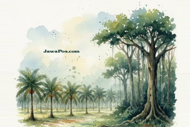 Deforestasi dan Bencana Banjir Bandang di Sumatera