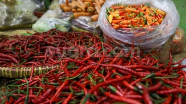 Harga Pangan Nasional Hari Ini, Cabai Makin Murah Sentuh Rp40 Ribu