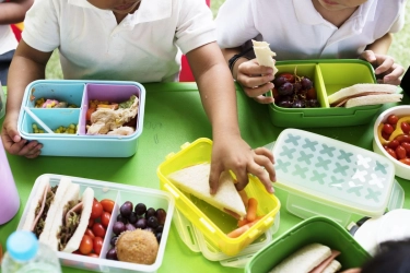 Bekal Anak Bisa Jadi Kunci Membentuk Kebiasaan Makan Sehat