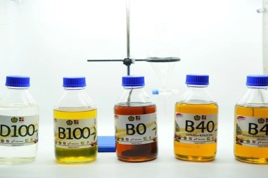 IESR Ingatkan Risiko B40 terhadap Pasokan CPO dan Keberlanjutan Fiskal