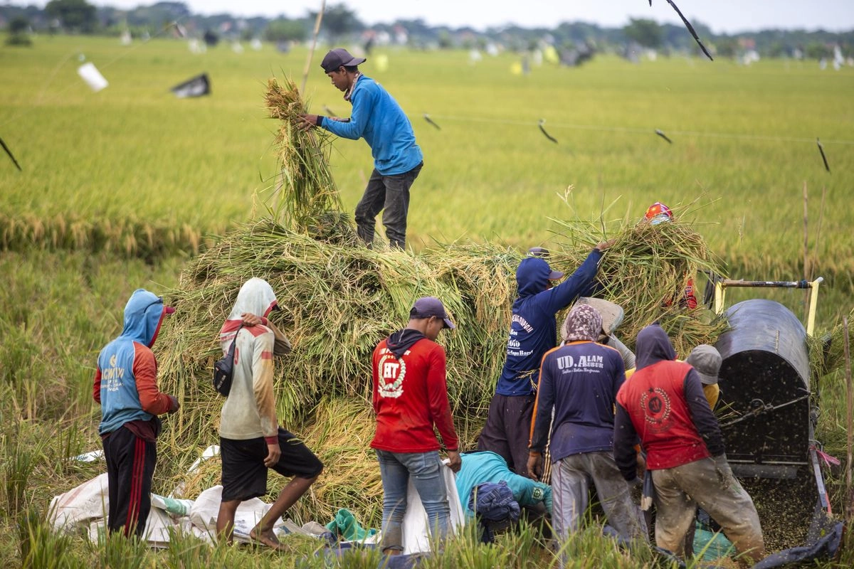 Swasembada Pangan dan Ujian Konsistensi Negara