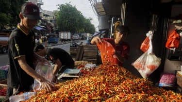 Update Pangan Nasional 11 Januari 2026: Harga Cabai Kompak Turun, Jagung Naik