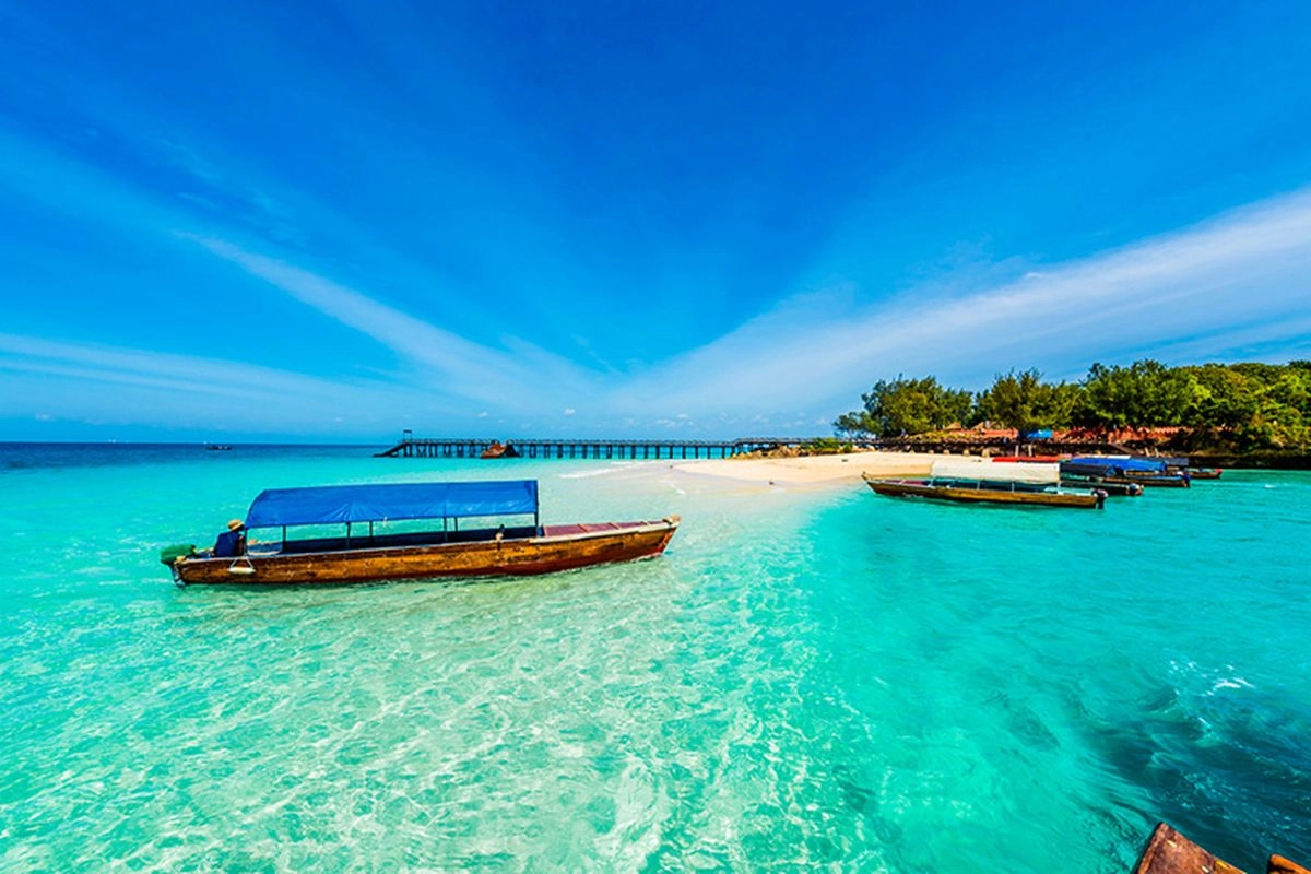 Ambisi Pendukung Kripto Bangun Dunia Cyber City di Zanzibar