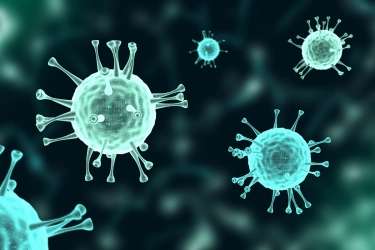 Kasus Kematian “Super Flu” Disorot, Dokter Ungkap Peran Penyakit Penyerta