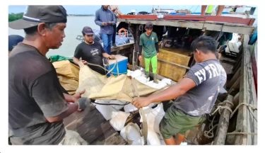 TNI AL Gagalkan Penyelundupan 25 Ton Bijih Timah Senilai Rp 12,5 Miliar di Perairan Timur Selat Bangka