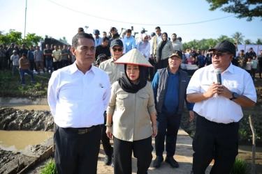 Rehabilitasi 13.702 Sawah Rusak di Sumatera Ditarget Selesai Februari