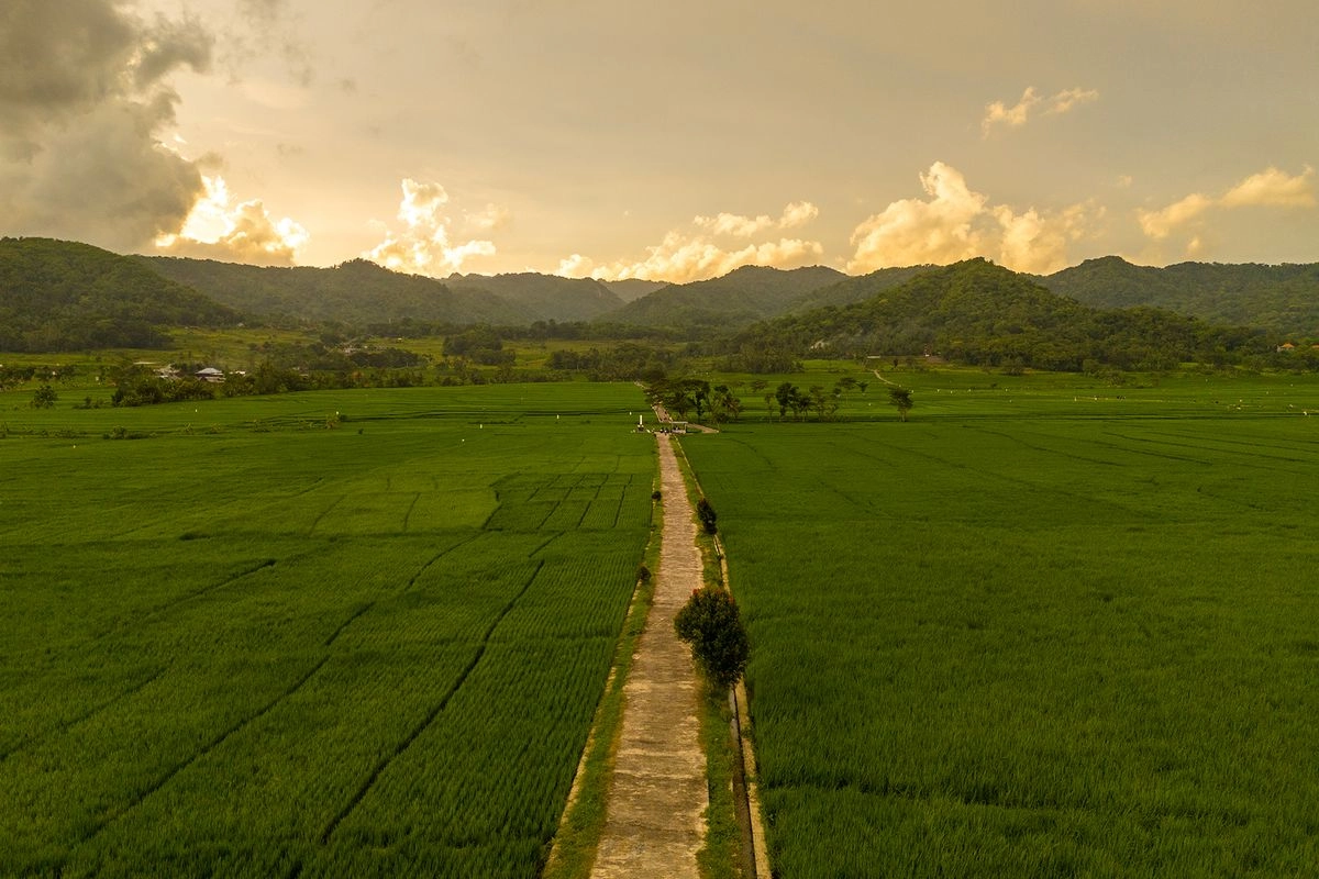 Rute ke Wisata Persawahan Yogya yang Dikunjungi The Dudas, Sekitar 1 Jam dari Tugu Jogja