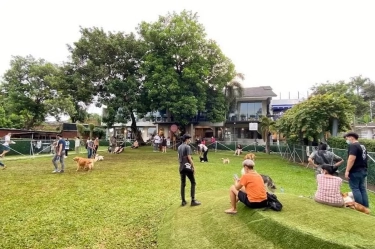 Seru Banget! 5 Tempat Nongkrong Favorit di Jaksel yang Wajib Kamu Coba saat Weekend