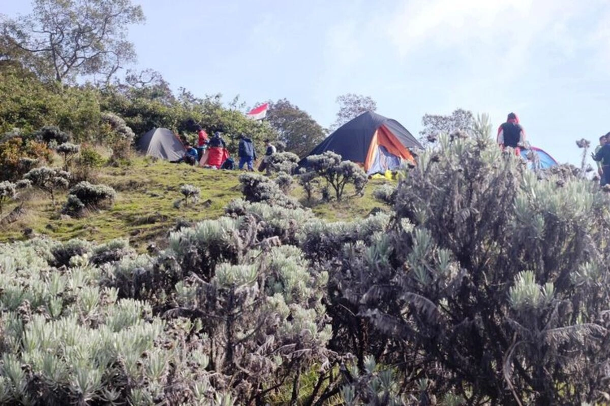 Aturan Baru Pendakian Gunung Gede Pangrango: Pendaki Wajib Pakai Gelang RFID
