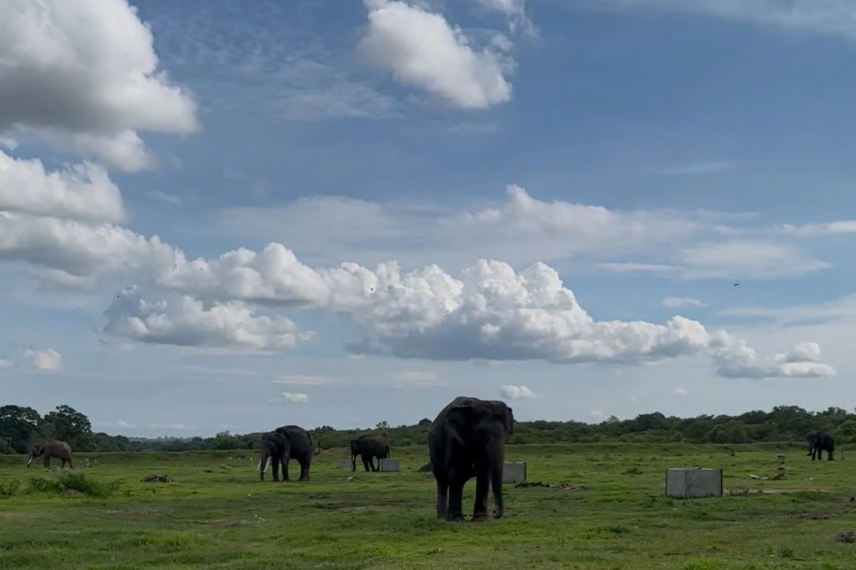 Mulai 16 Januari, TN Way Kambas Tutup Kunjungan Wisata