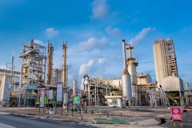 KEPP Otsus Papua Sebut Pabrik Pupuk di Fakfak Bakal Tingkatkan Produktivitas Pertanian