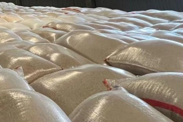 Mentan Bongkar 1.000 Ton Beras Impor Ilegal di Kawasan Perdagangan Bebas Kepri