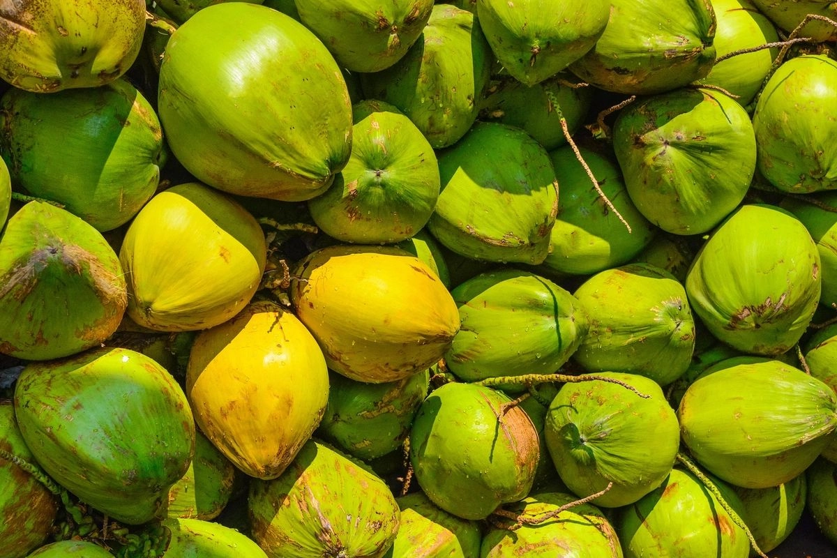 Pabrik Pengolahan Kelapa Perusahaan China di Morowali Beroperasi Tahun Ini